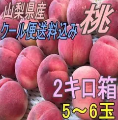 セット割引あり　クール便　産地直送　山梨県産　訳アリ　桃 2キロ　5～6玉