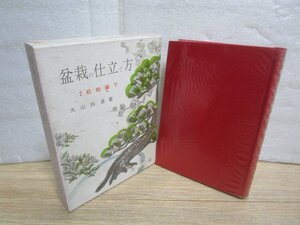 盆栽の仕立て方（2）柏松編〔下〕　大山玲瓏/泰文館 /昭和46年