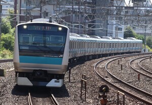 D939 JR京浜東北線 E233系 サイ101 鉄道写真