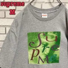 suprem☆シュプリームＴシャツ 両面プリント ビッグロゴ グレー M