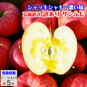 家庭用 りんご サンふじ 訳あり リンゴ 林檎 5kg 青森産 葉とらず ふじ フジ 富士 冨士 産地直送