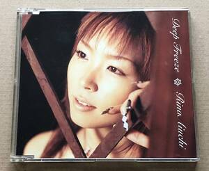 [CD] 愛内里菜 / Deep Freeze　帯付　初回限定特典『LOVE 里菜 X-mas フォトカード』付　rina aiuchi　