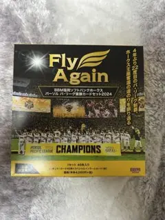 開封済み 箱付き BBM福岡ソフトバンクホークス -FLY AGAIN-