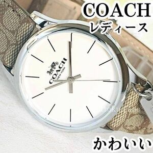 新品COACHコーチ女性レディース腕時計クォーツシグネチャーブラウン革レザーバンドホワイトかわいい可愛いシンプルプレゼント送料無料