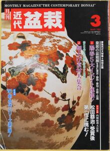 ★☆月刊　近代盆栽　1991年3月　松田恭司・受賞後第1作に挑む☆★