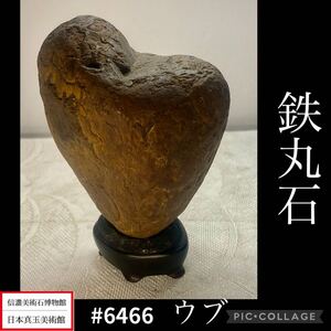 【年始初売り】水石 盆栽 鉄丸石 ウブ 横8.5×高12.5×奥行7(cm) 940g 骨董盆石古美術中国古玩 6466