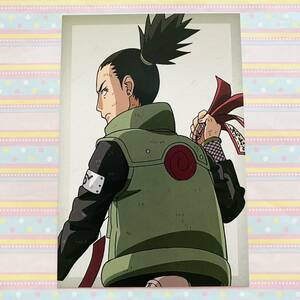 NARUTO -ナルト- 疾風伝 戦う背中ver. ポストカード/アニメイト/特典/非売品/シカマル