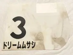 競馬『ドリームムサシ 実使用ゼッケン』阪神 ４歳以上５００万下