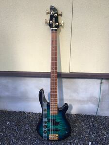 FERNANDES BASS