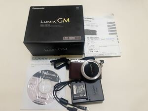 【極美品】動作確認済み Panasonic LUMIX G DMC-GM1S 完備品 パナソニック ミラーレス一眼カメラ レンズキット F1:3.5-5.6 12-32mm 