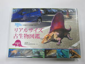 【単行本】　古生物のサイズが実感できる! リアルサイズ古生物図鑑 古生代編 　土屋 健 (著) 送料370円～