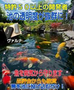 池の透明度が抜群に【ヴァルナ池用】病原菌や感染症など有害物質を強力抑制！錦鯉を病気から守ります！池に入れるだけで５００トン浄化！