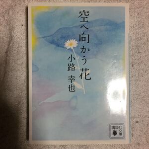 空へ向かう花 (講談社文庫) 小路 幸也 9784062770347