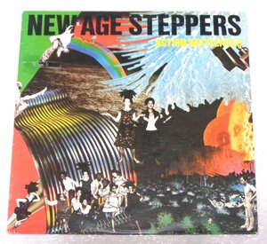 C2/L658/NEW AGE STEPPERS/ACTION BATTLEFIELD/ドイツ盤LP/DUB名盤/ADRIAN SHERWOOD