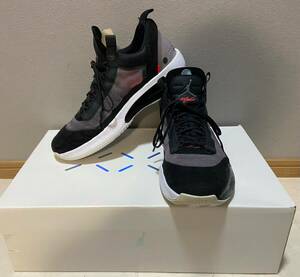 AIR JORDAN XXXⅣ LOW PF 28cm