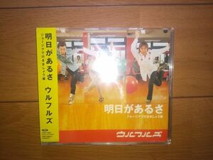 明日があるさ　ジョージアで行きましょう編　ウルフルズ　中古品