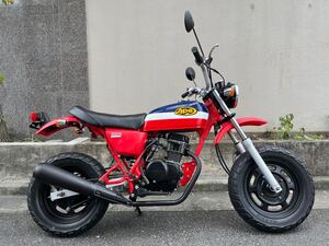 【中古】ホンダ Ape50 エイプ トリコロールカラー カスタム車両 3.7馬力 2002年式 HONDA 直接引き取り可