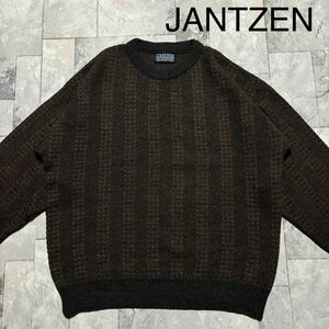 JANTZEN ジャンセン ニット セーター 長袖 USA企画 レトロ 総柄 90s オールド ヴィンテージ アクリル グレー ブラウン サイズL 玉FS1597