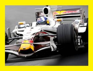 ■1/20 Red Bull RB4 COULTHARD Last Run Brazil GP