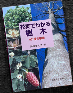 ★美品在庫1即納★花実でわかる樹木-951種の検索｜日本の樹木図鑑 名前 種名 見分け方 見極め方 花 果実 色 形態 葉の形 オールカラー#