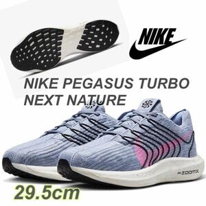 NIKE PEGASUS TURBO NEXT NATURE ナイキ ペガサス ターボ ネクスト ネイチャー (DM3413-400)青29.5cm箱無し