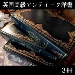 ⭐高級【英国アンティーク洋書】３冊セット⭐️合成皮革製、金箔装飾⭐️インテリアに