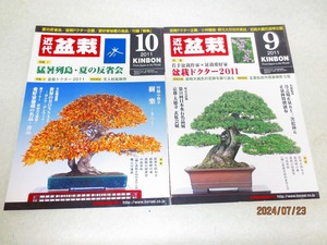 [緑の市場] 近代盆栽 2011年9月号/10月号 2冊組 定形外郵便送料無料/ポスト投函