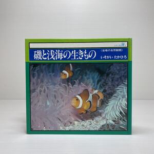 m2/磯と浅海の生きもの シリーズ海9 いそがいたかひろ らくだ出版 ゆうメール送料180円