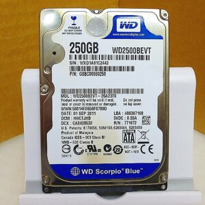 HD4629★WesternDigital★2.5インチHDD★250GB★WD2500BEVT★即決！