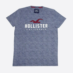 ★SALE★Hollister/ホリスター★アップリケロゴマルチボーダーTシャツ (Heather Navy/M)