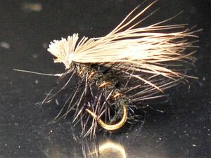 完成品フライ エルクヘアカディスブラック Elk Hair Caddis Black 10本 #14