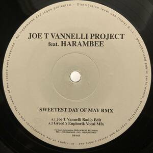 Joe T. Vannelli Project Feat. Harembee Sweetest Day Of May