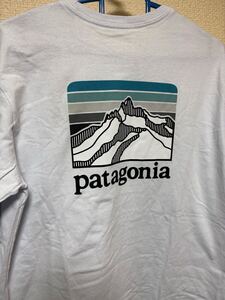 Patagonia パタゴニア ロングスリーブ ライン ロゴ リッジ レスポン シビリティー 新品未使用 WHI サイズM