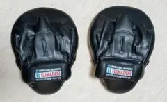 EL GANADOR FOCUS MITTS パンチングミット