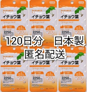 匿名配送 冴えある毎日を イチョウ葉×6袋120日分120錠 日本製無添加サプリメント(サプリ)健康食品 DHC脳内αではありません Ginkgo Biloba