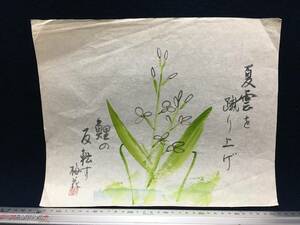 梅花 作 朱印 有り 昔の古い水彩画 静物画 風景画 植物 草花 夏雲を蹴り上げ 鯉の反転す 短歌 歌詞 唄 詩 珍品 飾り物 額装品 まくり 絵画