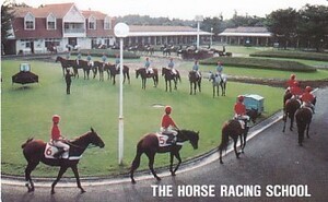 ●THE HORSE RACING SCHOOLテレカ