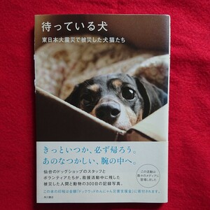 待っている犬　東日本大震災で被災した犬猫たち ドックウッド／著