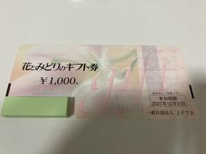 24940☆花とみどりのギフト券 1000円券 30枚