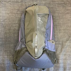 1円スタート1スタ美品 ARC’TERYX バックパック リュックサック アークテリクスbeams