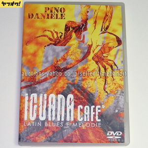 中古輸入DVD Pino Daniele Iguana Cafe Latin Blues E Melodie