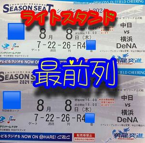 8月8日(木)中日VS横浜　ドラゴンズ外野応援席　ペア　連番　