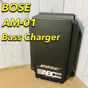 BOSE AM-01 ACOUSTIMASS BASS サブウーファー ボーズ AM-1 Charger ベース チャージャー 