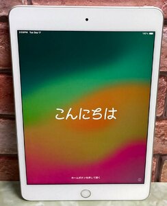 1円～ ●Apple iPad mini 第5世代 / Wi-Fi + Cellular / 256GB / シルバー / iOS 17.5.1 / 7.9型 (2048x1536) / バッテリー82% / MUXD2J/A