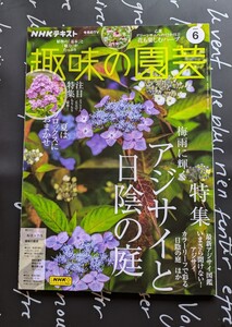 NHKテキスト　趣味の園芸　2024年6月