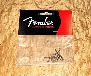 新品 Fender純正 Fender Pickguard Or Vintage Bridge Cover Mounting Screwsフェンダー ピックガード ブリッジ カバー マウント ビス ネジ