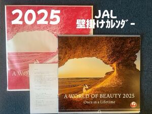 【新品】JAL　日本航空　2025　壁掛けカレンダー　普通判　 A WORLD OF BEAUTY 2025年 カレンダー 世界の美女 　ＪＡＬカレンダー 送920円