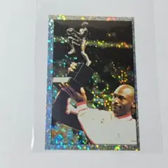 【レア】92-93 Panini sticker Michael Jordan