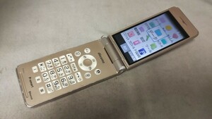 DG4714 docomo FOMA P-06C Panasonic ガラケー ケータイ 折り畳み式 簡易動作確認＆簡易清掃＆初期化OK 判定○ 現状品 送料無料　