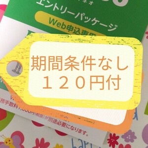 匿名☆最低利用期間なし☆１２０円ギフト付　マイぴたキャ適用　mineoマイネオエントリーパッケージ　コード　紹介URL契約手数料無料 565